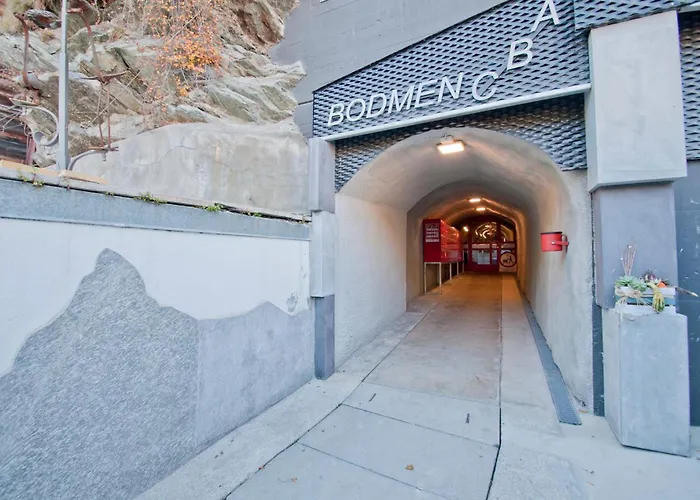 Haus Bodmen C, Anemone Apartment