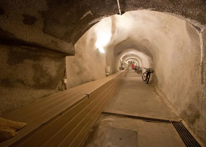 Apartment Haus Bodmen C, Anemone