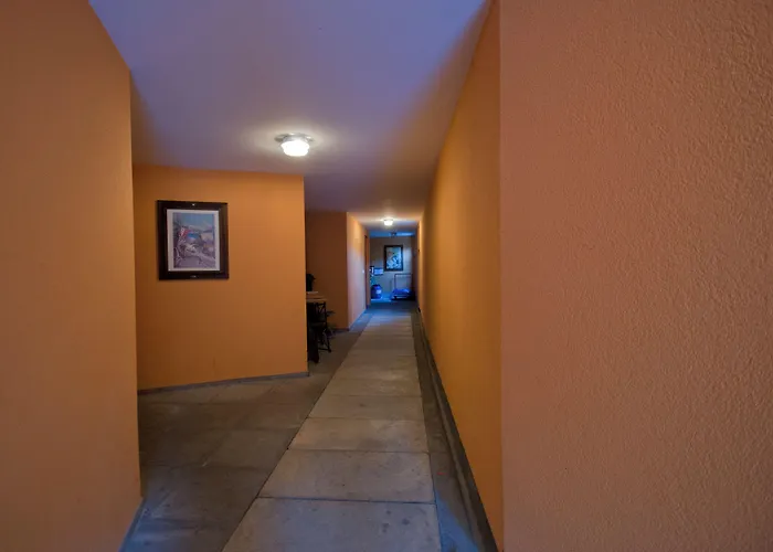 Haus Bodmen C, Anemone *