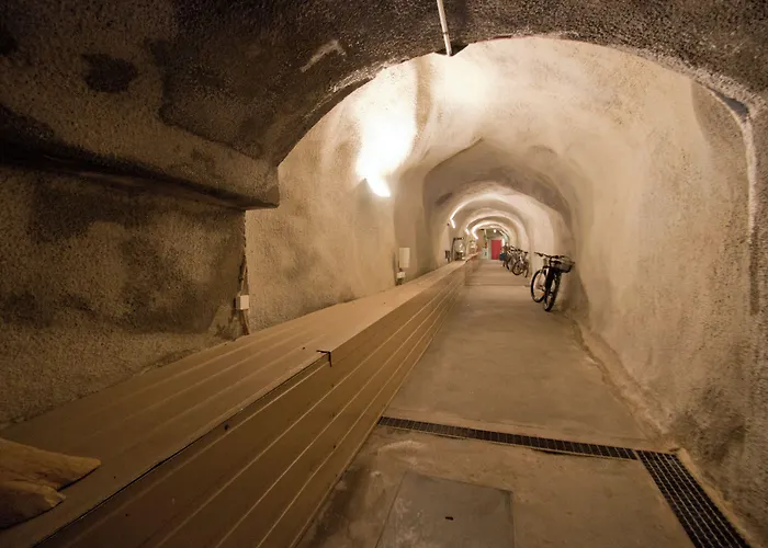 Haus Bodmen C, Anemone *