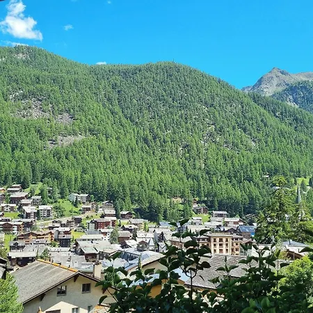 Haus Bodmen C, Anemone